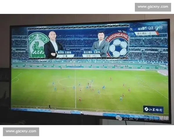 苏超威武！220 万人抢票中签率 1%，决赛比欧冠还难蹲